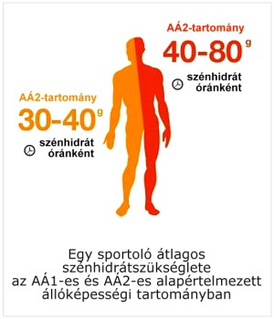 energiaszükséglet ábra